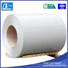 SPCC холоднокатаный стальной лист / рулон
